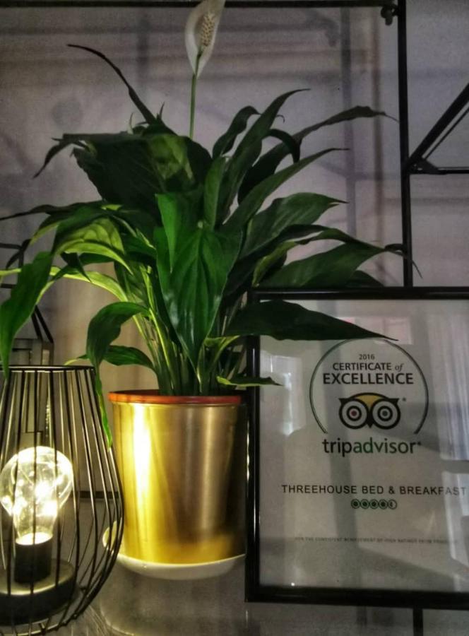 Treehouse Hostel Кучинг Екстериор снимка